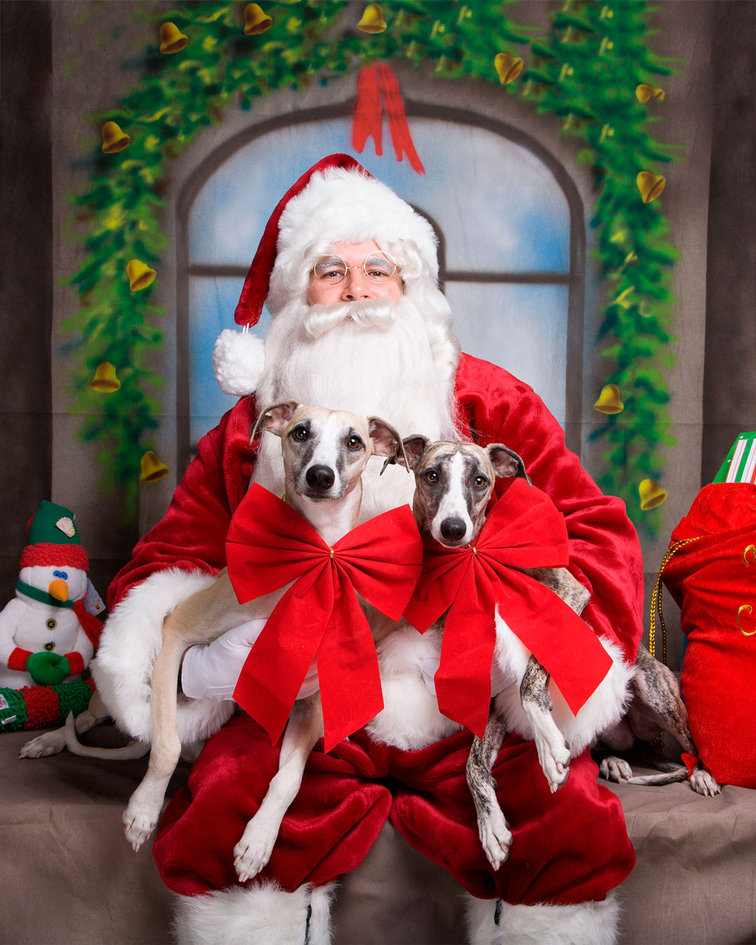 Fred Levy, sitting on a couch in his studio with photos behind him and his two dogs on either side.