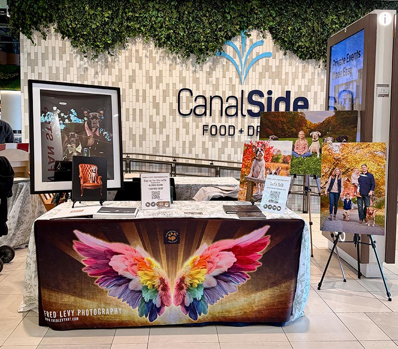 table and photos set up at CambrideSide Galleria, Cambridge, MA