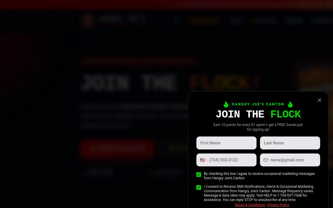 Hangry Joe's Canton website homepage built by GO Agency AI