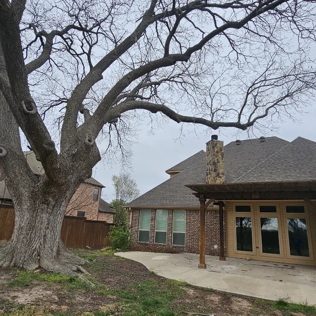 affordable tree removal in Dallas TX with arborist