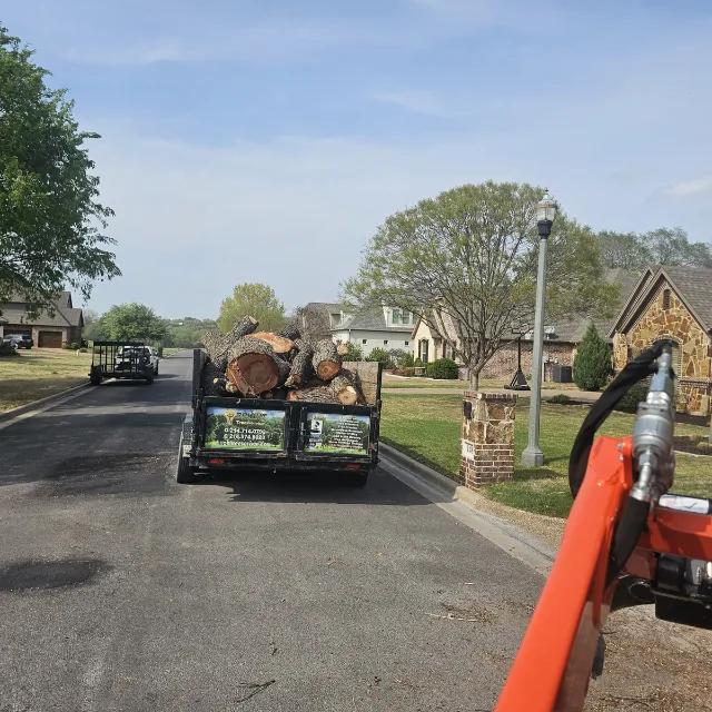 Insured tree removal in Irving TX using crane service near a home