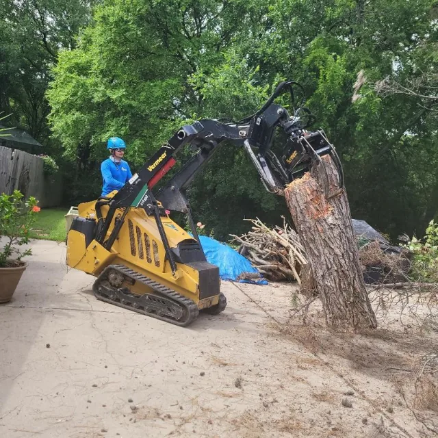 Insured tree removal crew using safety gear at Dallas TX property