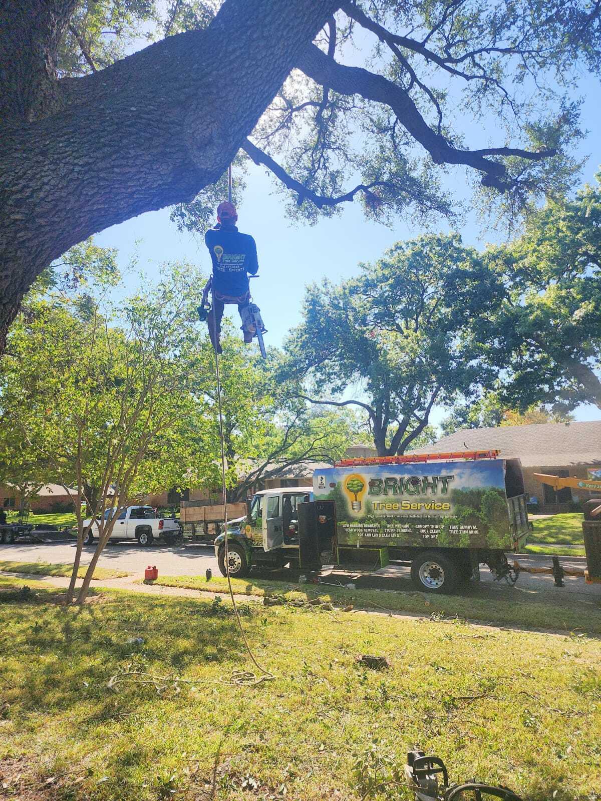 24/7 emergency tree service crew clearing a fallen tree from a Fort Worth driveway