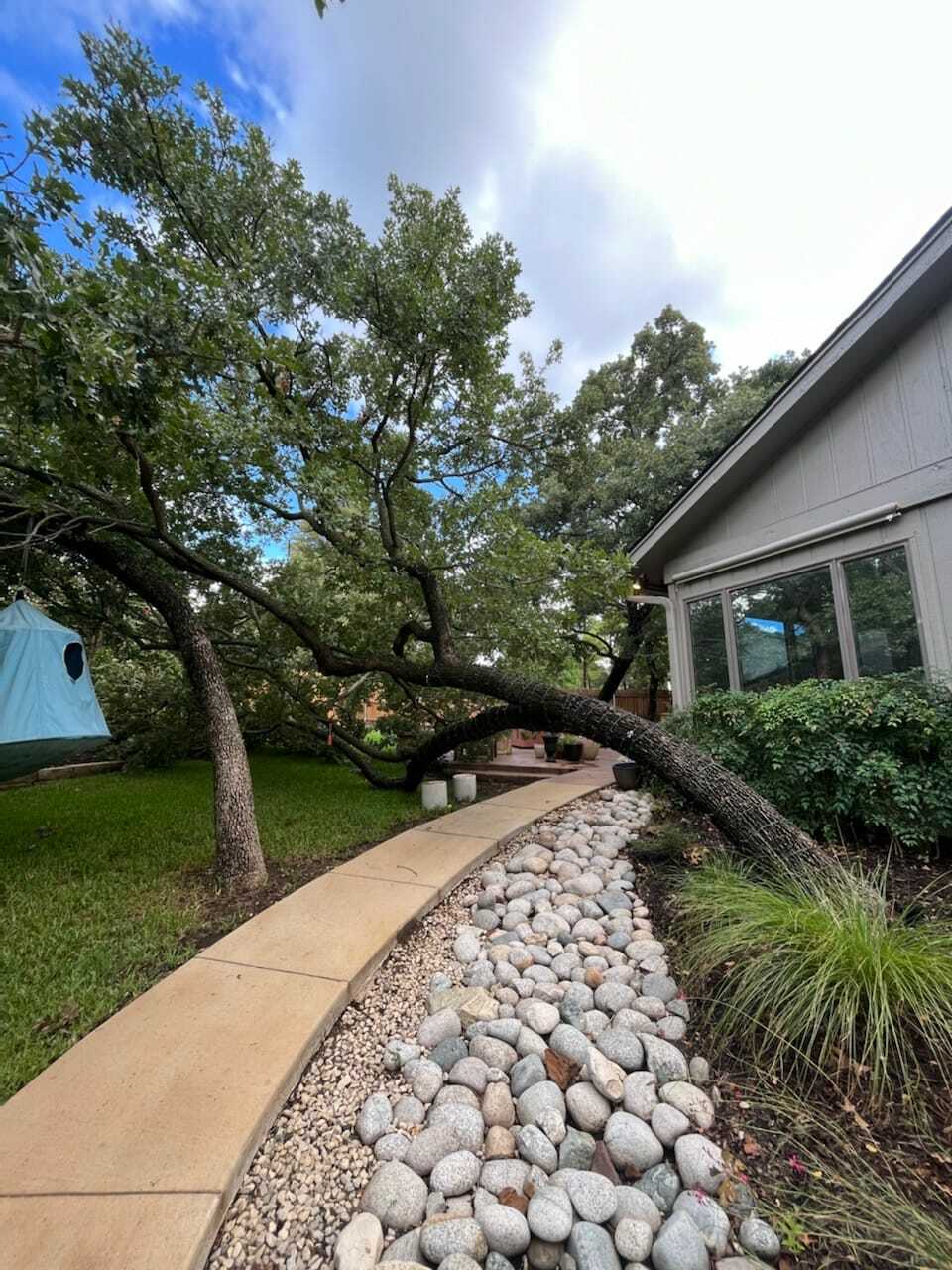 Storm cleanup and fallen tree removal at a residential property in Fort Worth TX.