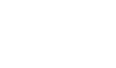 Apex Rentals
