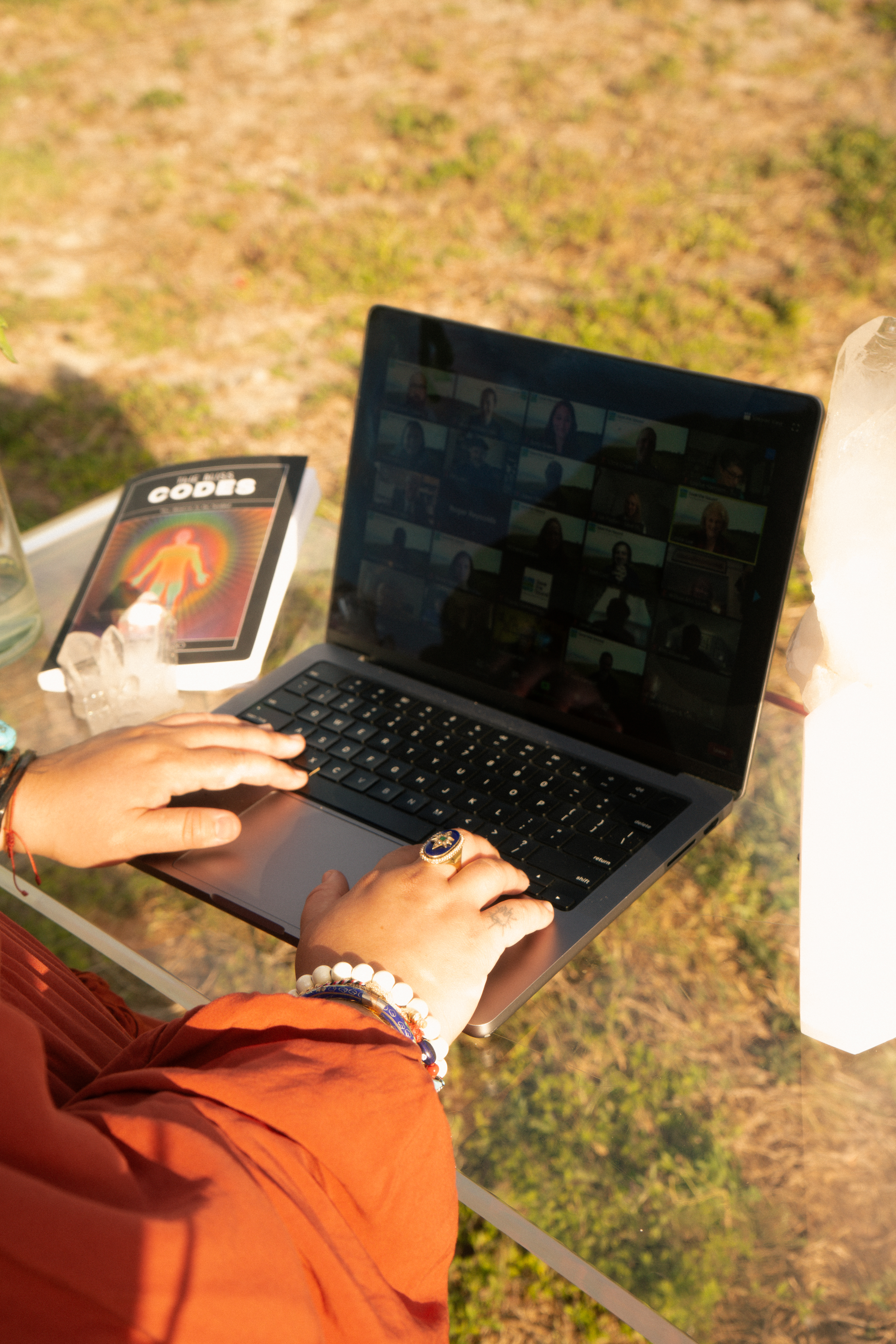 Online mentorship session