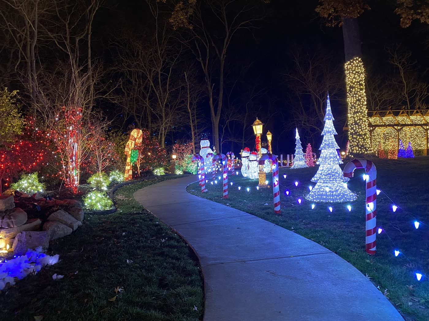Lit walkway with candy canes and light trees