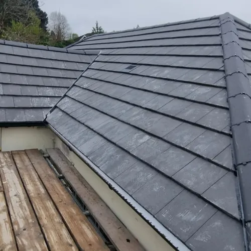 Recent roof project