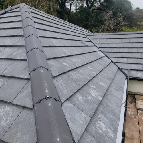 Recent roof project
