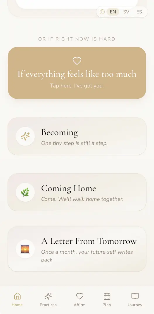 The Everything feels like too much relief flow screen, guiding a slow breath.
