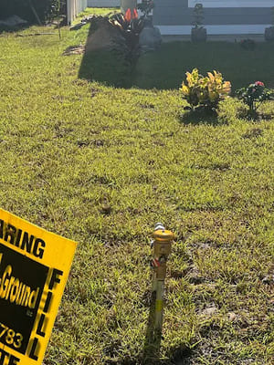 {{ custom_values.service_4 }} in {{custom_values.area_6})