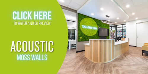 Acoustic Moss Walls - Click for Reel Acoustic Moss Walls - Click for Reel