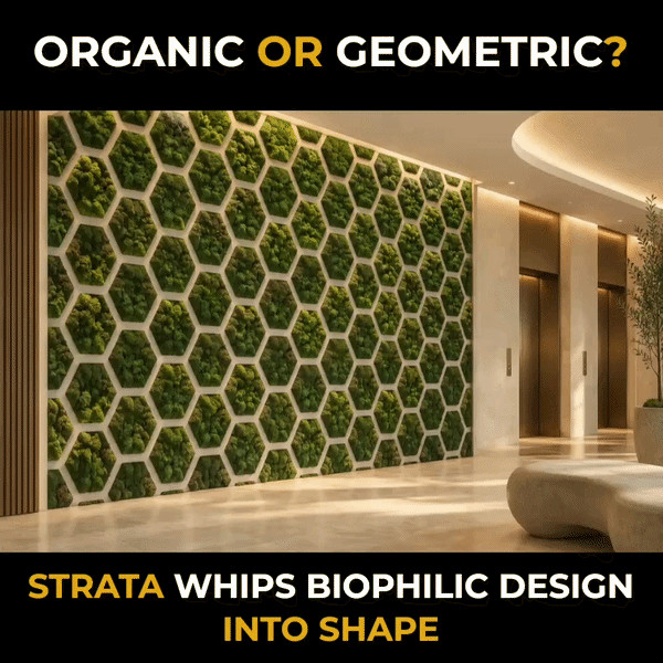 Geometric Meme