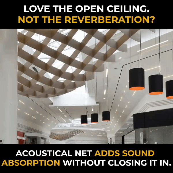 Acoustic Net Meme 1