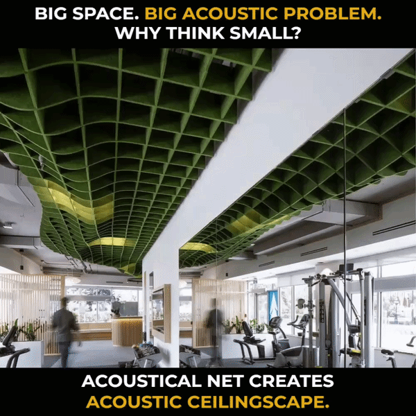 Acoustic Net Meme 4