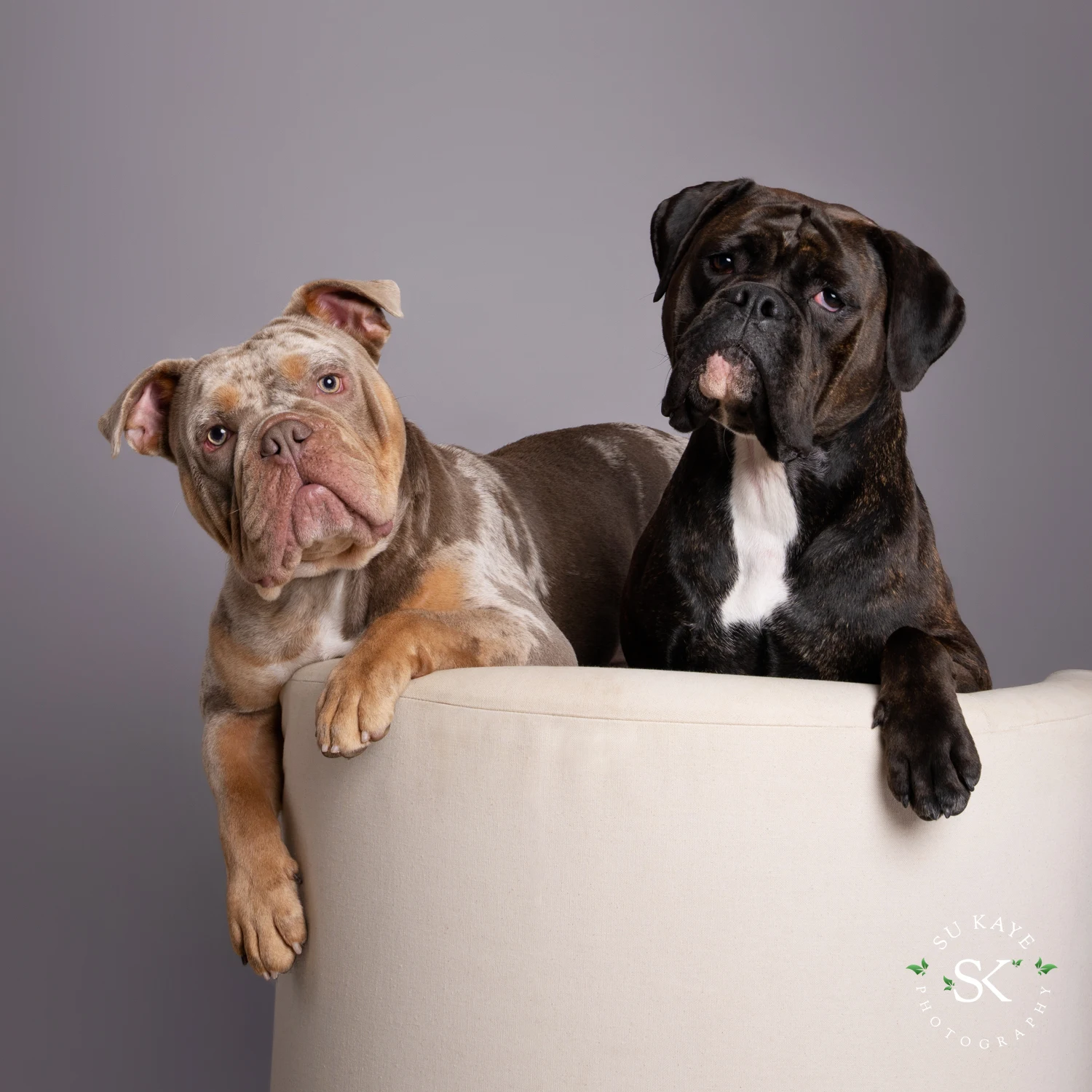 Kate, Apollo & Nelly