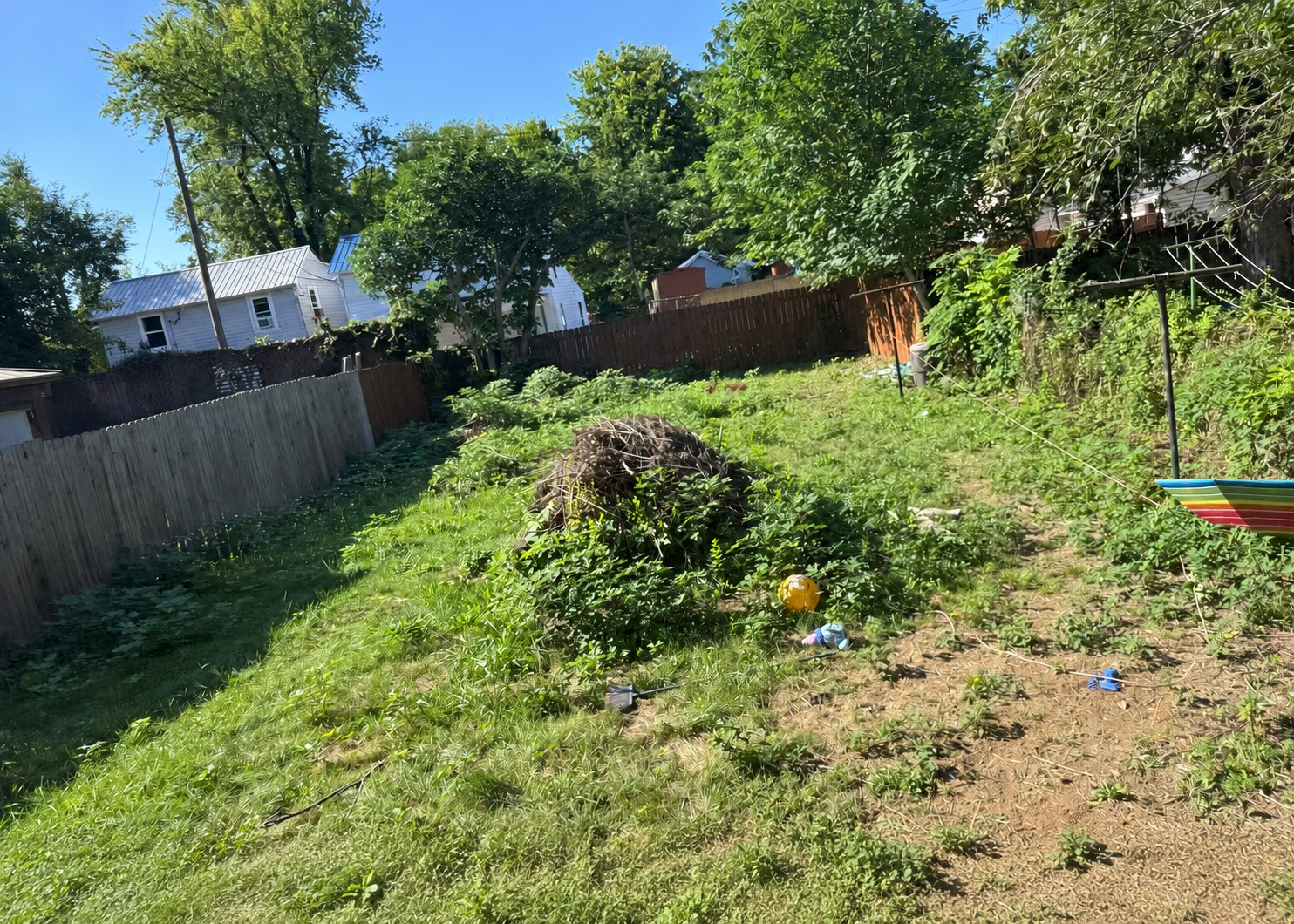 Back yard at 309 Liberty Ave