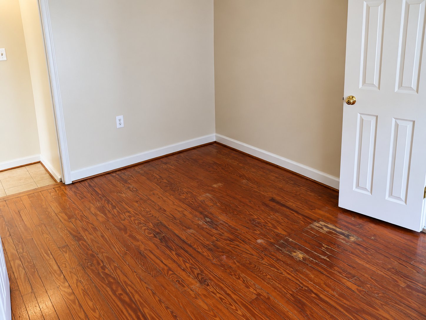 Den at 107 Walnut St