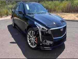 {{ custom_values.service_4 }} in {{custom_values.area_6})