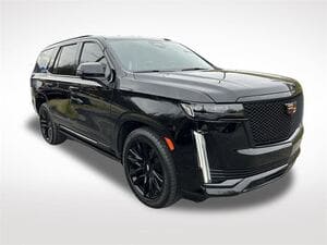 {{ custom_values.service_3 }} in {{custom_values.area_6})