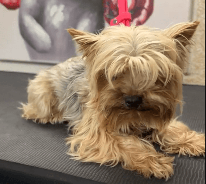 After grooming