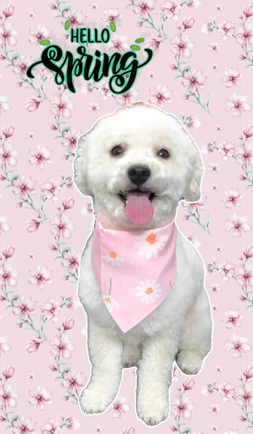 Grooming work 3