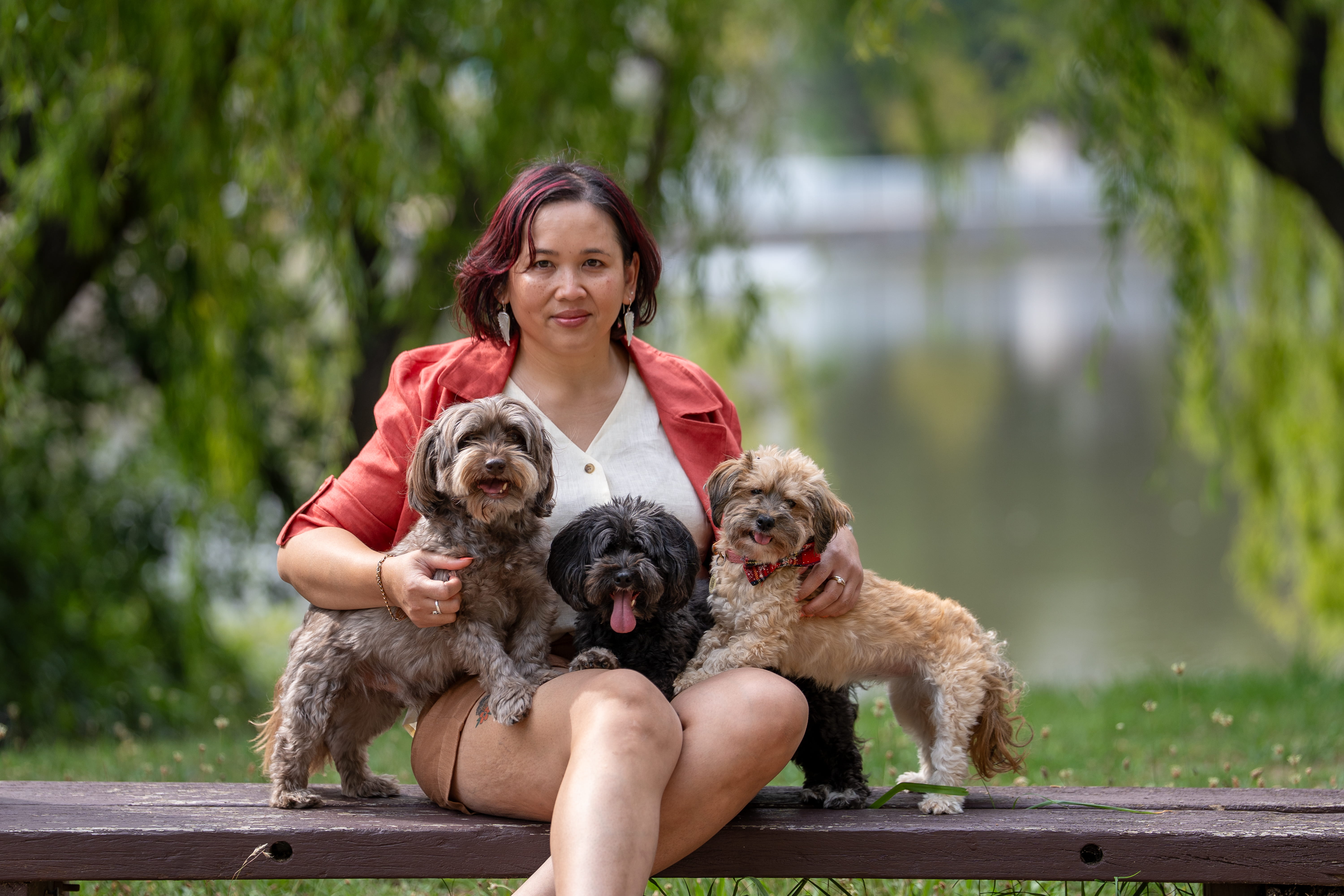 photo of Ina with her 3 Havanese dogs