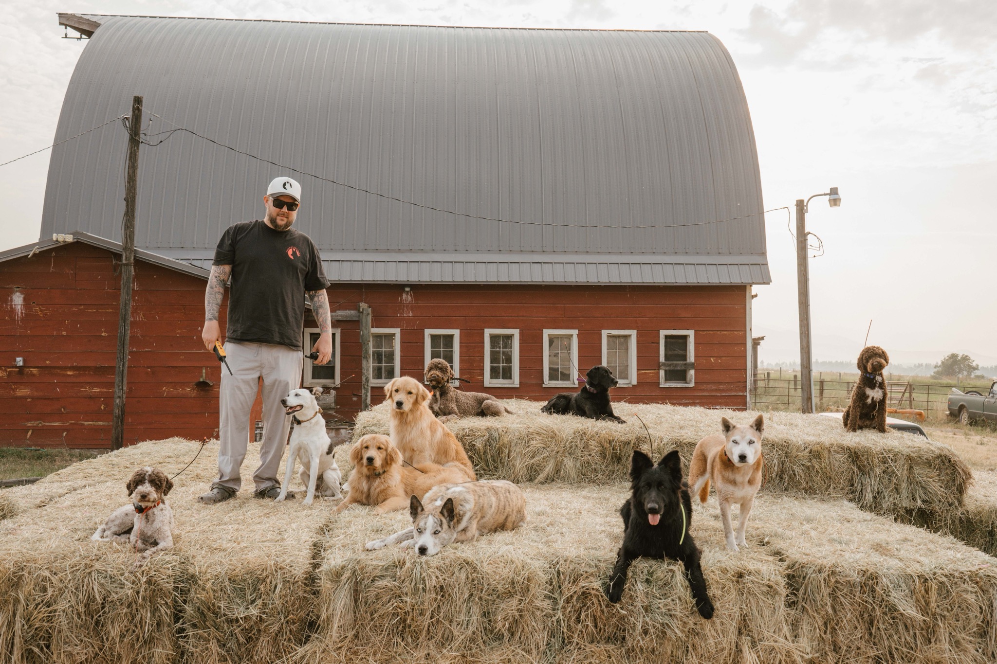 Dog trainer rewarding dog with precise timing and consistency