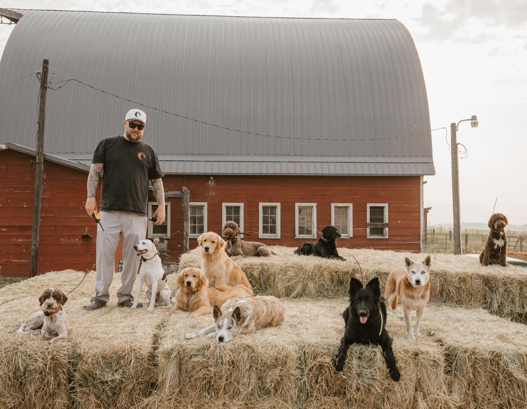 Dillon Mitchell stands in front of a red barn with nine dogs sitting on hay bales