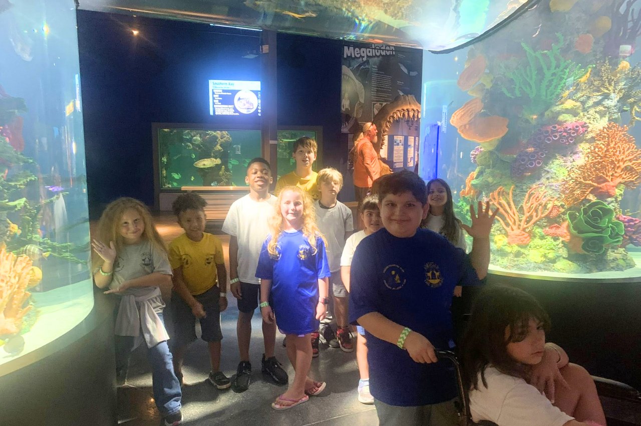 martial arts summer camps