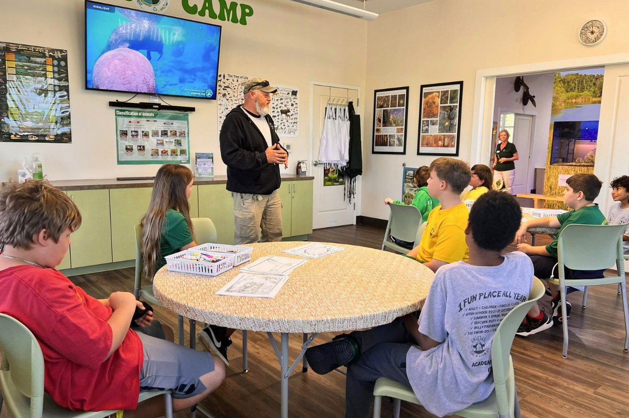 kids martial arts after-school program