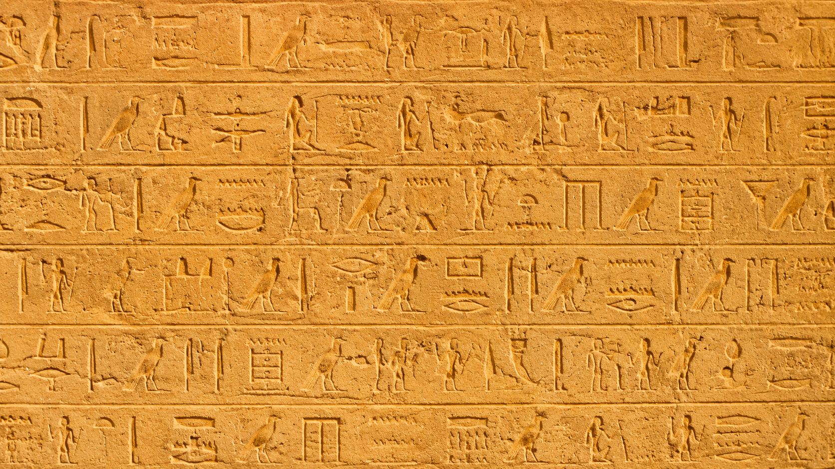 Ancient Egyptian hieroglyphs carved in sandstone