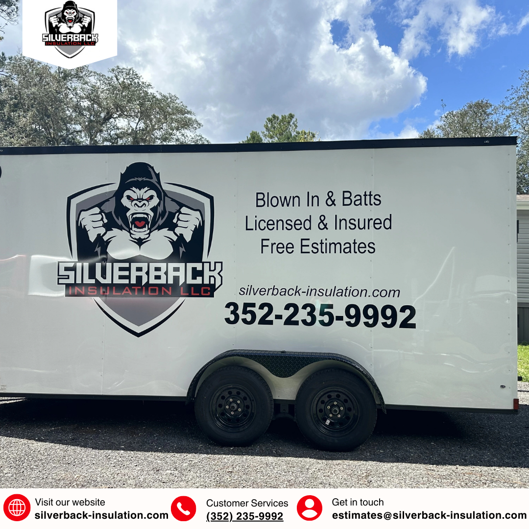 Trust Silverback Insulation for Expert Crawl Space Solutions