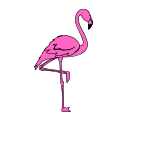 Flamingo Flow