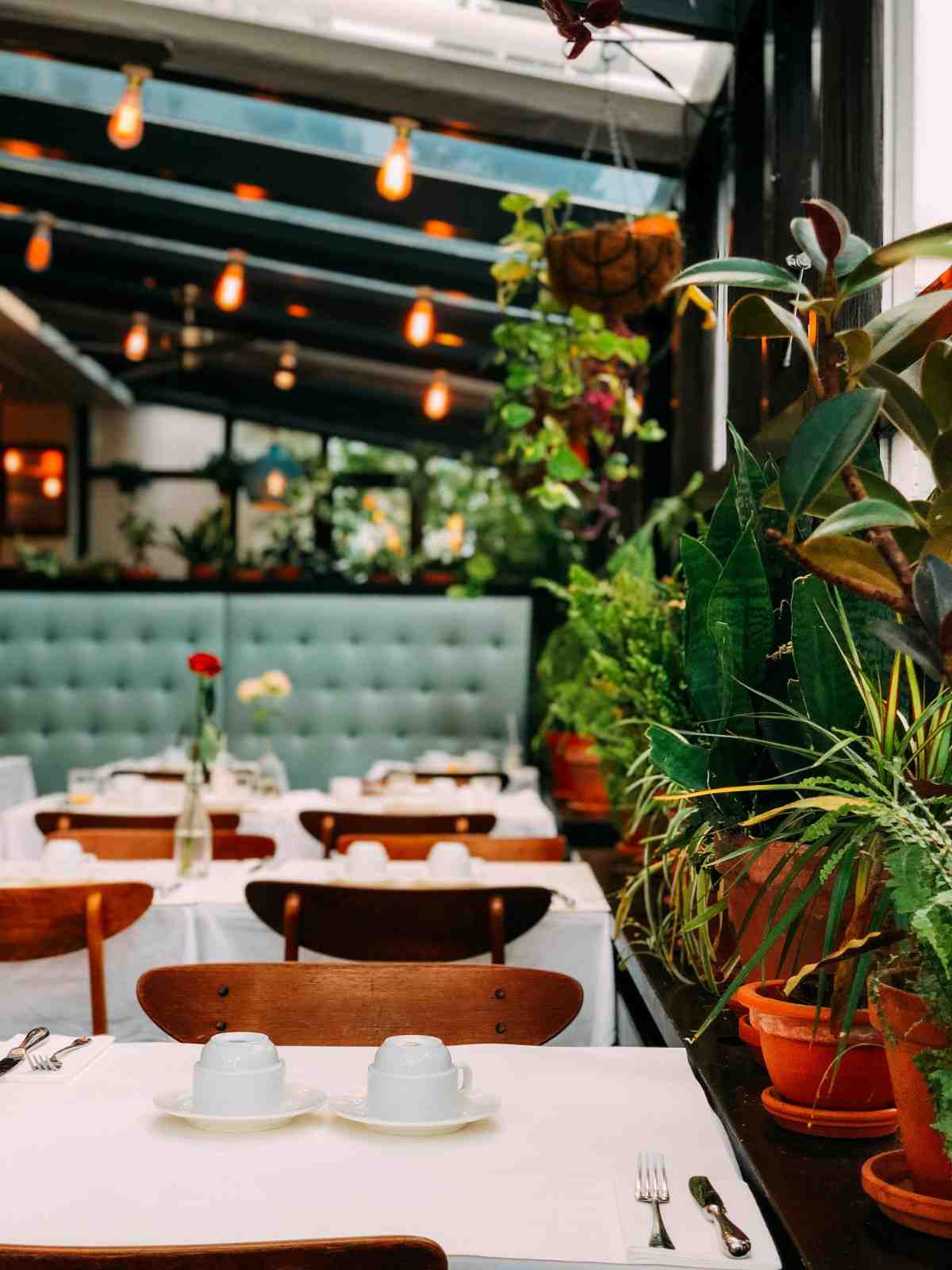 Google reviews for restaurants