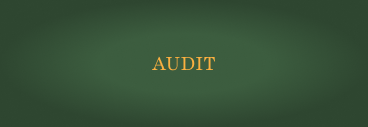 Book an Audit
