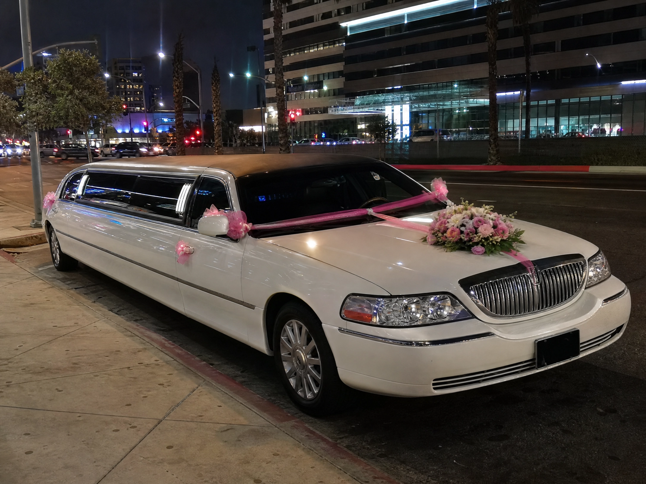 Sacramento, CA Bachelorette Party Transportation