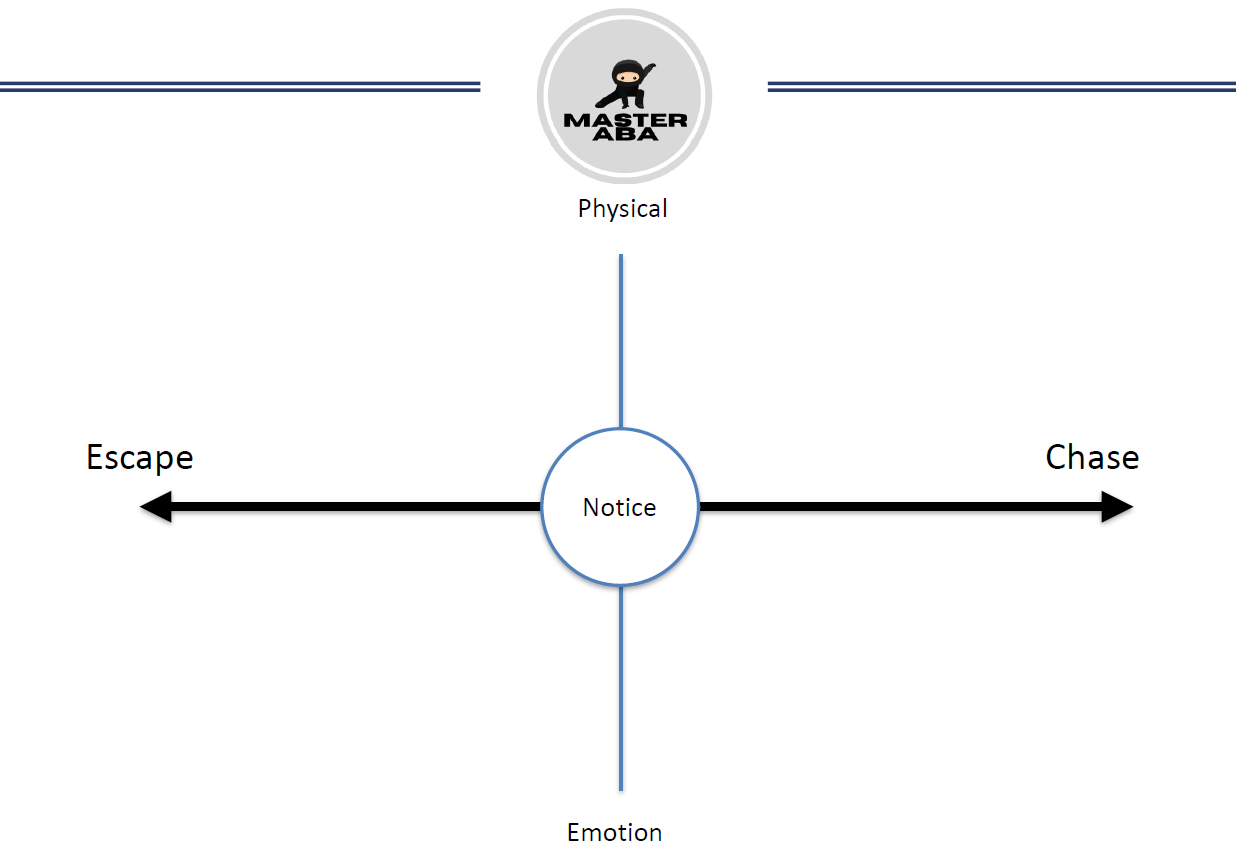 ACT matrix
