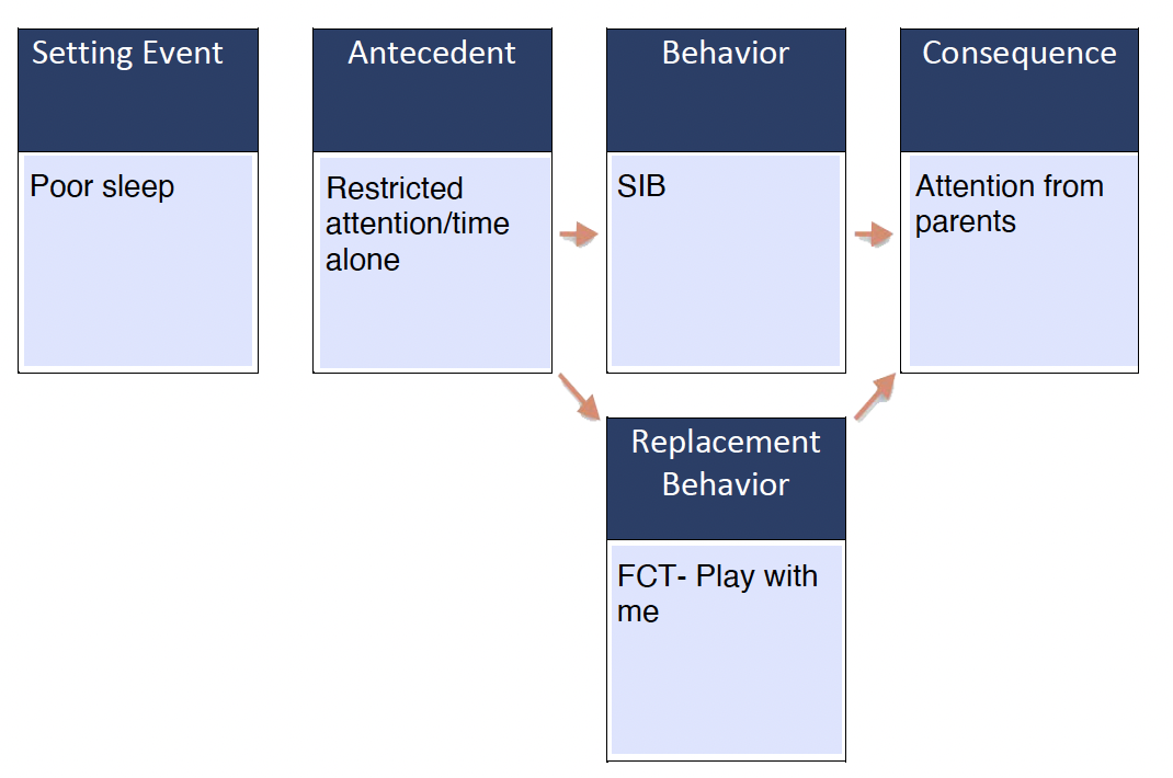 Competing behavior pathway attention example Competing behavior pathway attention example