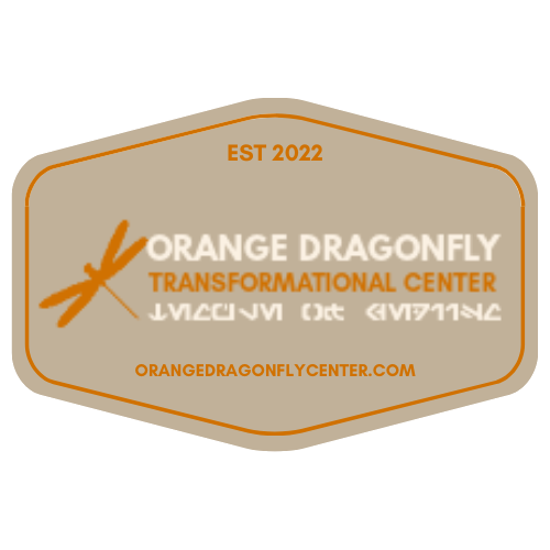 The Orange Dragonfly Transformational Center and Temple of Jediism is more than just a place—it's a vision for a better future. We believe in a world where everyone feels connected, supported, and empowered to live their most authentic lives. 