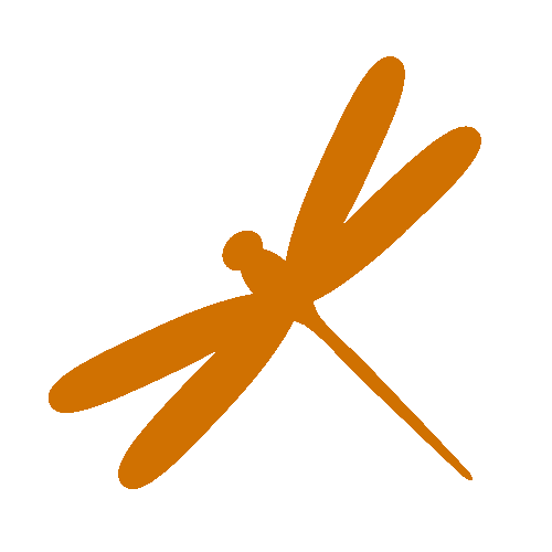 Orange Dragonfly Center