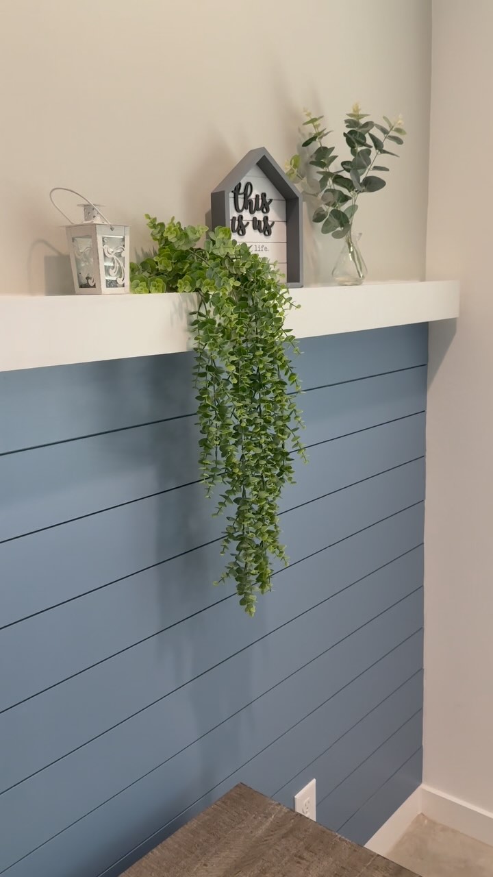 Blue shiplap interior accent wall with shelf Phoenix AZ