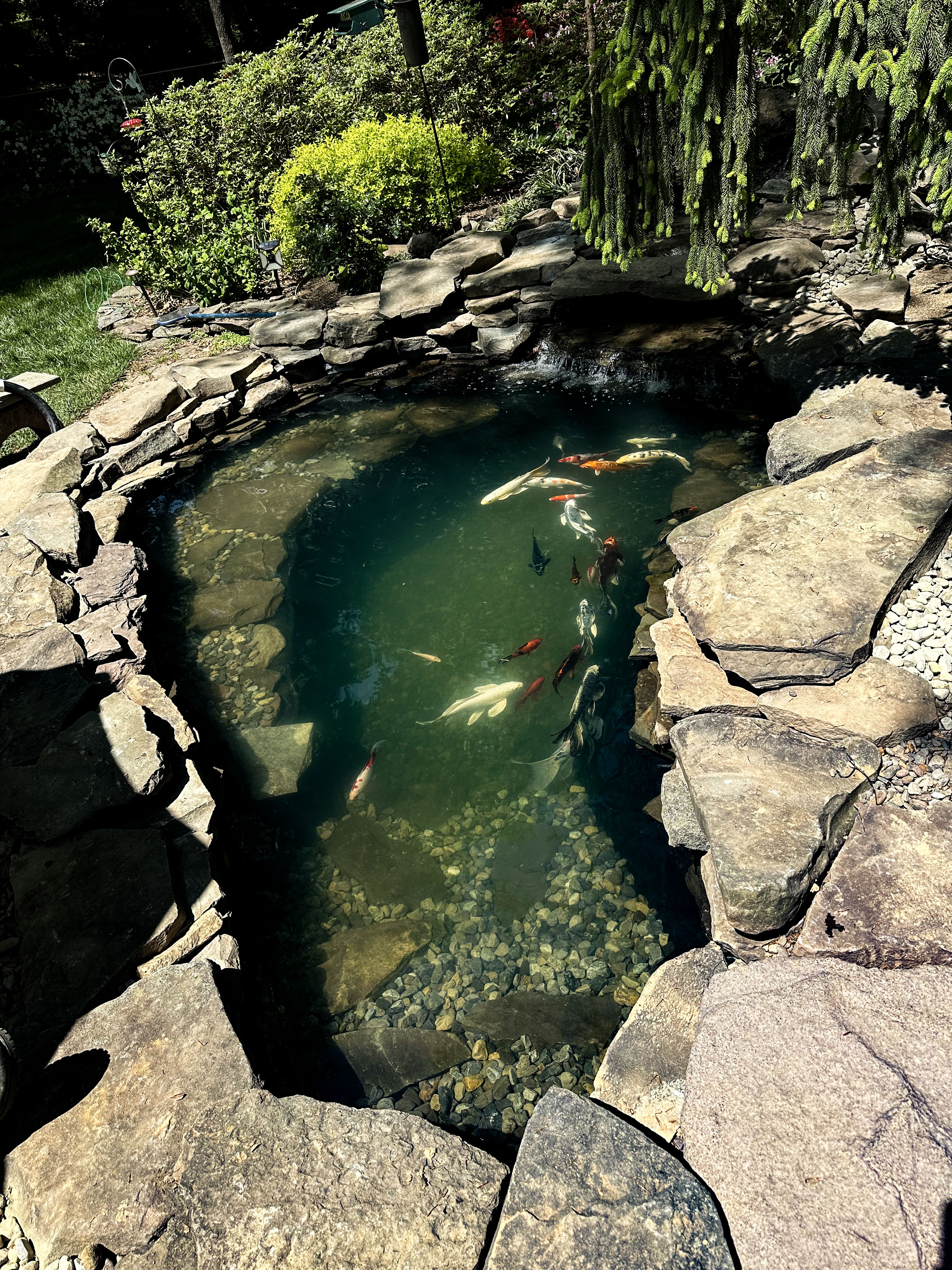Prestige Illumination and Pond work example
