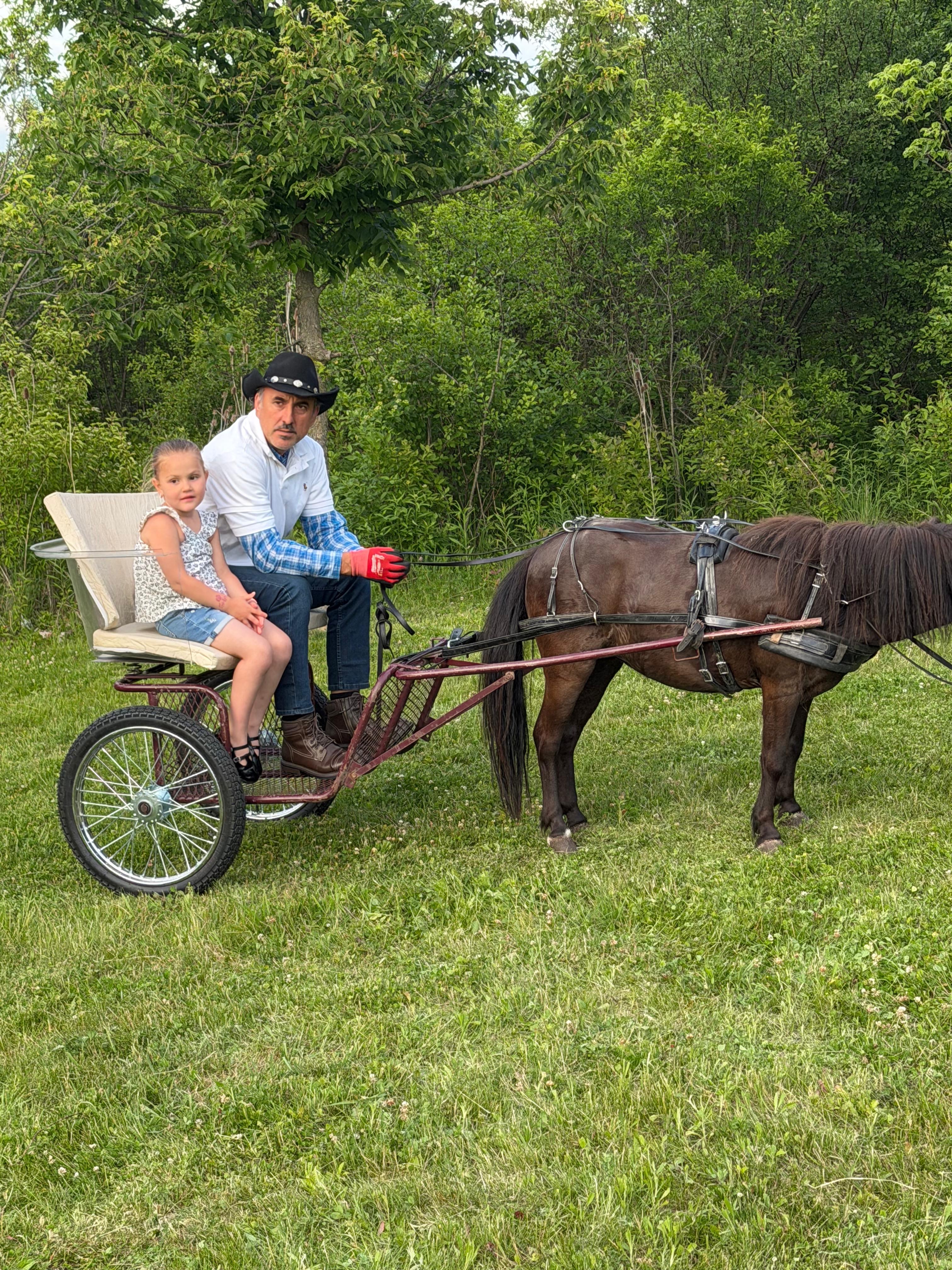 Owner with little girl looking at camera in the carriage pulled by a little brown pony.