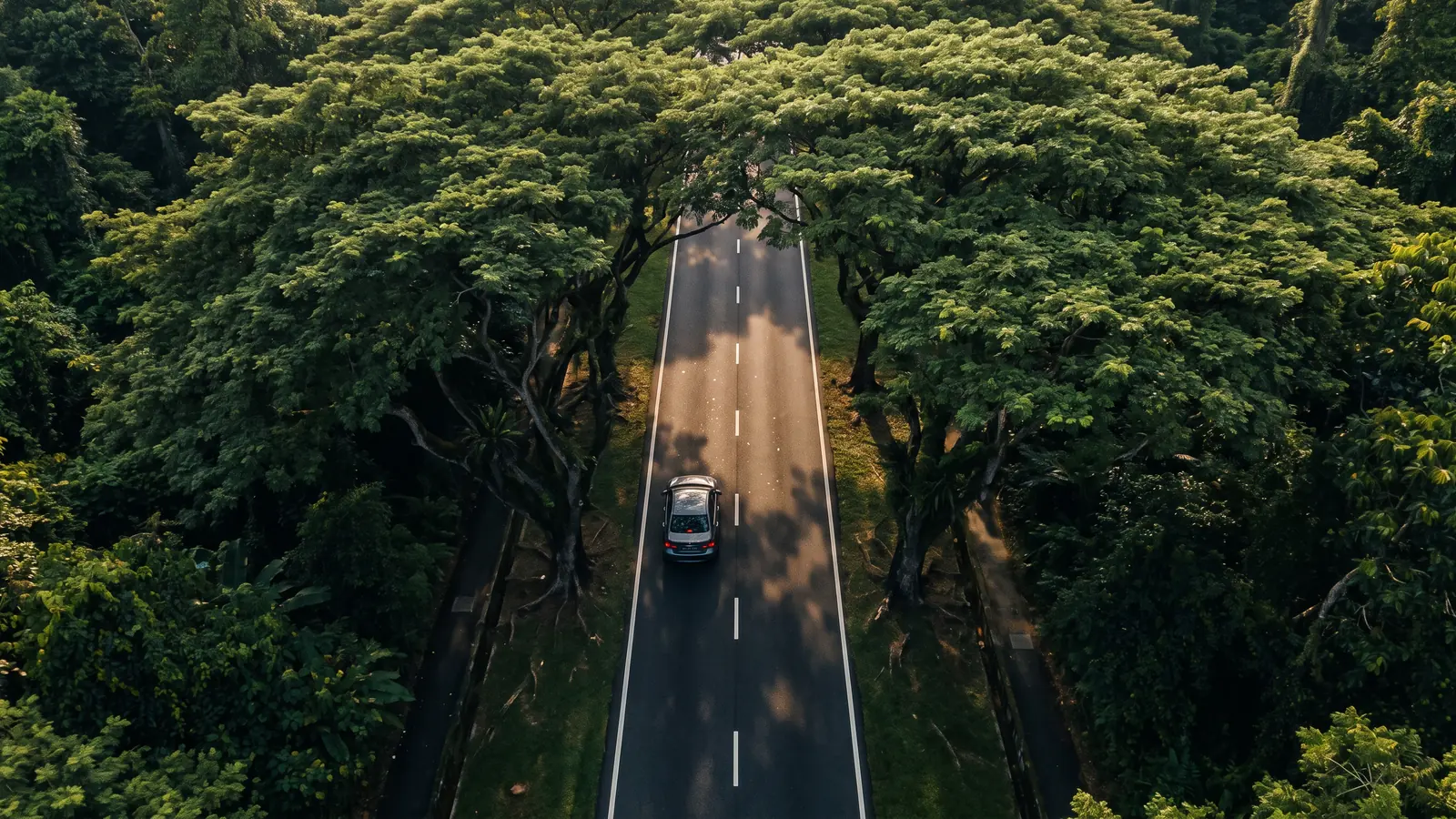 Road tax surcharge calculator