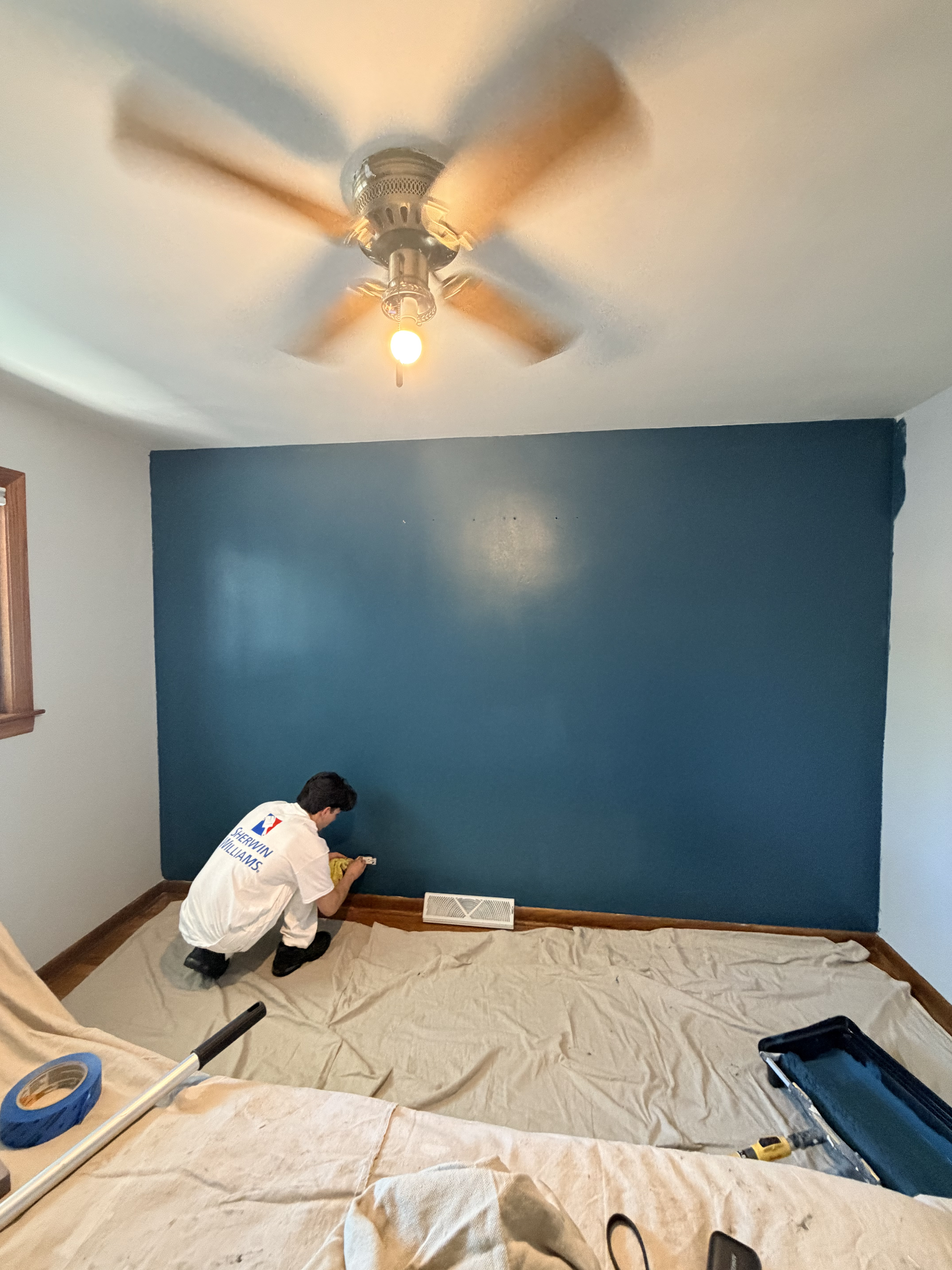 Fair Value Painting Project 4