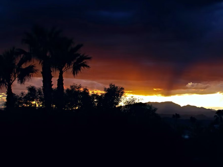 Palm trees silhouetted against a Las Vegas sunset