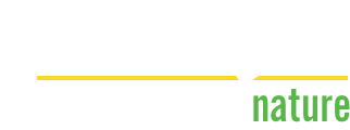 Jo Beau logo