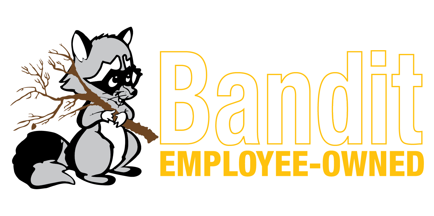 Bandit logo