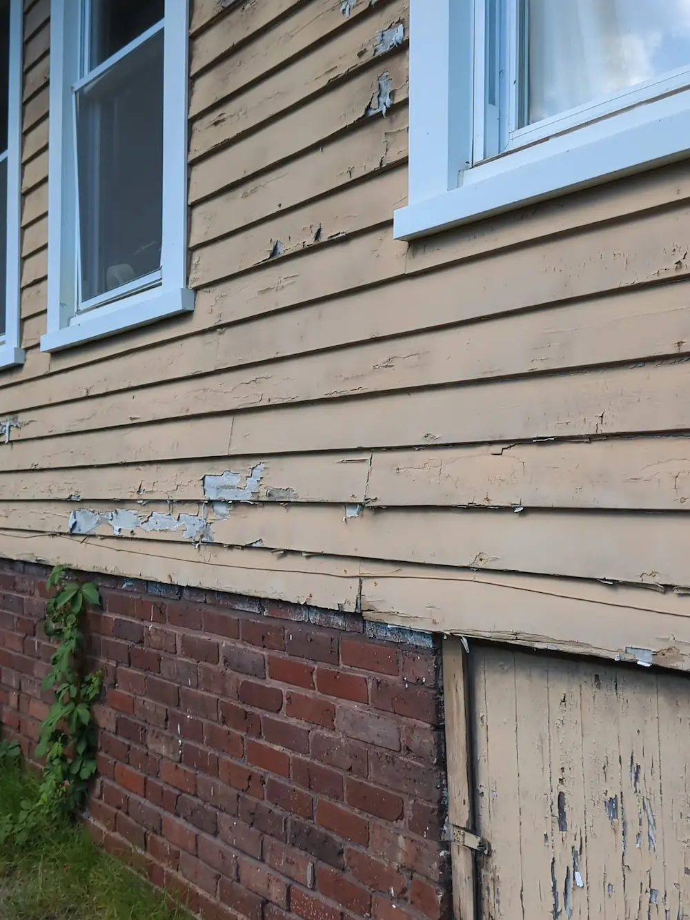 basement paint stripping